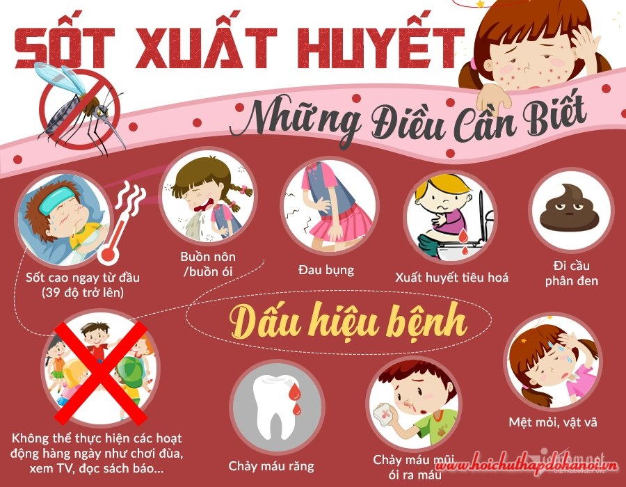 Bệnh sốt xuất huyết còn diễn biến phức tạp (11/11/2023)